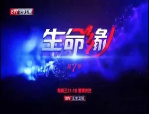 《生命缘》纪录片第七季 720P/1080i 百度网盘资源-小文资源网