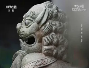 《地理中国》精彩纪录片 2019 合集 [720/1080P] 百度网盘资源-小文资源网