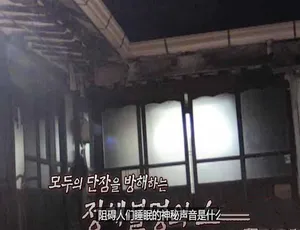 《奇事瞬间：世界的惊艳捕捉 第 10 季 26 集 1080 中字 百度网盘》-小文资源网