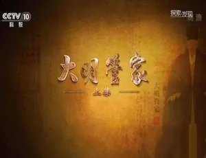 《大明管家》精彩纪录片：TS 蓝光画质，全 2 集，1.41G 百度网盘资源