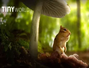 《小小世界 Tiny World 精彩纪录片 第 1 季 蓝光 4K 中字 35.36G 百度网盘资源》