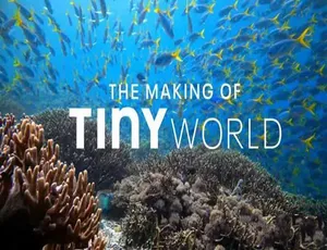 《小小世界 Tiny World 纪录片第二季 4K 蓝光中字 31.24G 百度网盘资源》