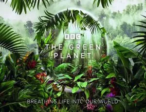 BBC 震撼巨制《绿色星球》全 5 集 4K 高清原声 中英双字 视频合集 百度云网盘下载