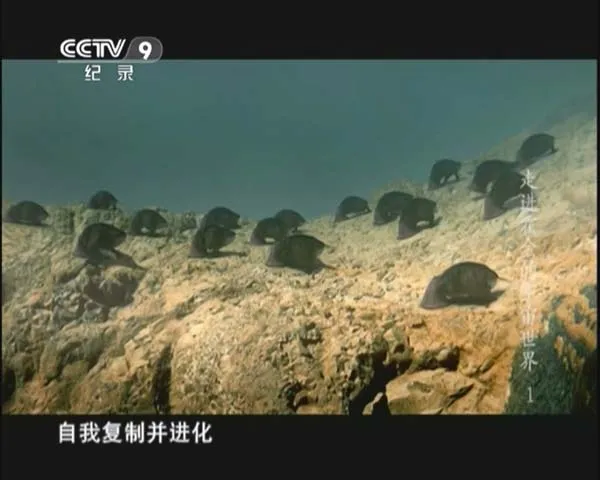 [2013][CCTV纪录][万象：走进霍金的宇宙世界][4.8G][百度盘]
