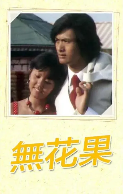 文章内图片
