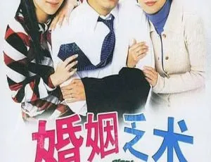 《2006 年香港经典剧<婚姻乏术>：罗嘉良与谢天华领衔，国粤中字 20 集 15.95GB 百度网盘分享》-小文资源网