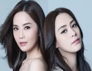 《Twins 组合 14 部影视作品及演唱会视频大合集【百度云网盘下载】》-小文资源网