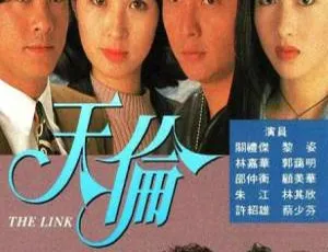 《1993 年 TVB 经典港剧<天伦>33.91GB 百度云资源》-小文资源网
