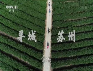 《寻城苏州：震撼纪录片 1080P 国语中字 两集全 百度网盘资源》-小文资源网