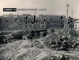 《一寸山河一寸血 1995》震撼纪录片 720P 全 42 集 国语配音中英双字 百度网盘资源-小文资源网