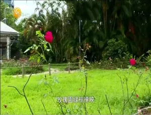 《震撼揭秘！大决战中国军将领走马换将》