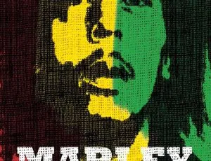 《震撼！鲍勃·马利 2012 欧美音乐纪录片 BDMV 34.5GB 百度网盘分享》-小文资源网