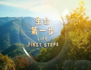 《生命第一步：震撼纪录片，TS/蓝光全 3 集中字，百度网盘分享》-小文资源网