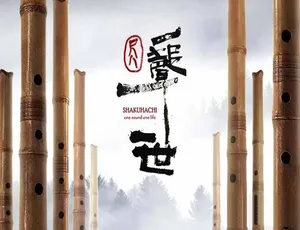 《尺八·一声一世》精彩纪录片：TS 蓝光画质，全 1 集中字，5.52G 百度网盘资源