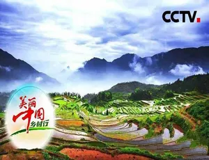《美丽中国乡村行 2018》精彩纪录片合集 101.9G 百度网盘分享