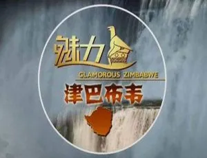 《魅力津巴布韦》精彩纪录片全 3 集，高清中字视频合集【百度云网盘下载】-小文资源网
