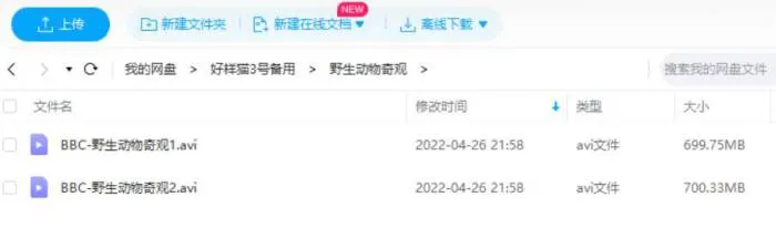 BBC纪录片《野生动物奇观》两集合集英语中字[AVI/1.37GB]百度云网盘下载