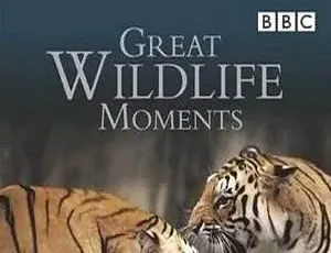 《BBC 野生动物奇观两集合集 英语中字 1.37GB 百度网盘下载》-小文资源网