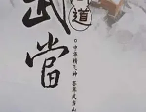 2009 年 CCTV 精彩呈现《问道武当》2G 资源 百度盘分享