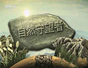 《自然守望者》第二季：震撼蓝光纪录片 百度网盘资源-小文资源网