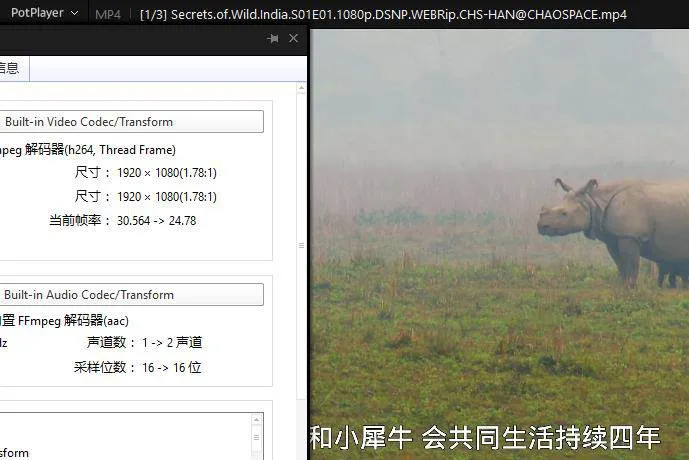 纪录片《国家地理：狂野印度》全3集(BBC出品)高清/英语中字/视频合集【百度云网盘下载】