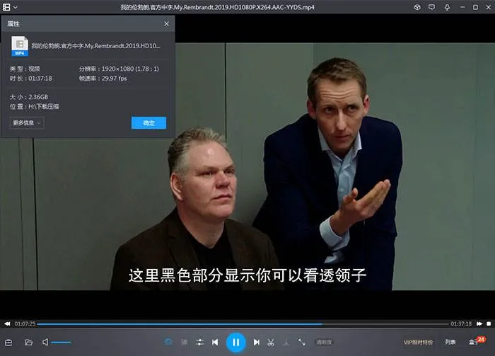纪录片《我的伦勃朗/Mijn Rembrandt》97min(安德鲁·欧文执导)高清1080P/原声中字/视频合集【百度云网盘下载】