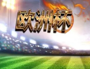 《欧洲杯官方纪录片（1960 - 2016）全集资源 百度云网盘下载》-小文资源网