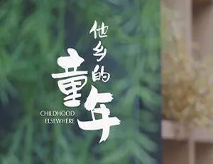 《他乡的童年》2019 高清中文字幕纪录片 5.35GB 百度云网盘下载资源-小文资源网
