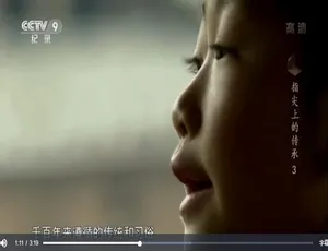《指尖上的传承：震撼 1080P 六集国语纪录片，百度网盘精彩呈现》