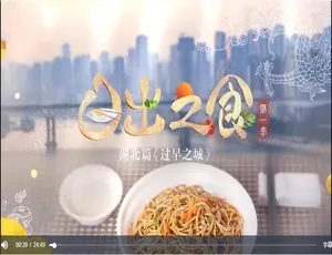 《日出之食》精彩纪录片：1080P 高清画质，4 集国语配音中文字幕，百度网盘资源-小文资源网