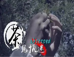 《浮生茶语》：精彩绝伦的 1080P 五集纪录片，国语配音中文字幕，百度网盘分享-小文资源网
