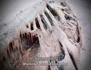 《证据就在那里：震撼第二季 1080P 官方纯净版纪录片 18.9G 中英双字 百度网盘》