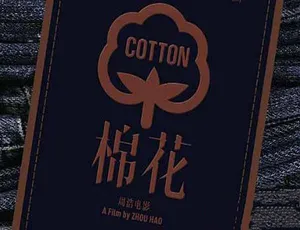 《棉花》纪录片：精彩全 2 集，720P/1080i 高清，百度网盘分享-小文资源网