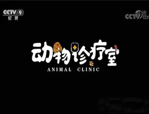 《动物诊疗室 Animal Clinic》精彩纪录片[TS/蓝光]全 5 集 百度网盘资源-小文资源网