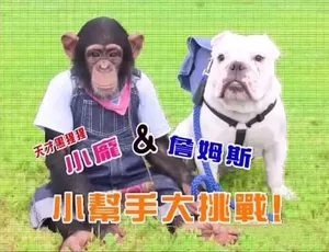 《阿笨和阿占 Pan & James 精彩纪录片 第一季国语 1080 百度网盘资源》-小文资源网