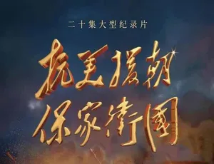 《抗美援朝保家卫国》震撼纪录片：TS/蓝光全 20 集，37.29G 百度网盘资源-小文资源网