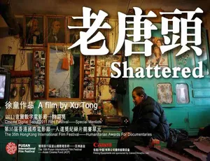 《老唐头：震撼人心的纪录片全集，标清 705.60M 百度网盘呈现》-小文资源网