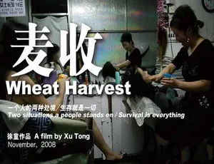 《震撼！<麦收 Wheat Harvest>纪录片全 1 集标清 1.47G 百度网盘分享》-小文资源网
