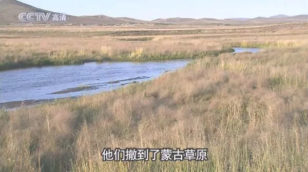 [2009][CCTV][中国记忆][1.9G][百度盘]
