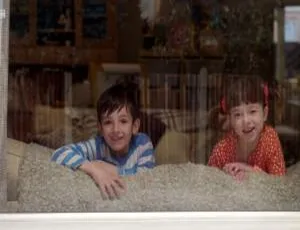 《Topsy and Tim 托普西和蒂姆》全三季 70 集英语动画 英文字幕 23.78G 百度网盘资源