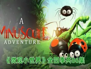 《Minuscule 微观小世界：精彩英语动画全四季 86 集，英文字幕，15.53G 百度网盘资源》-小文资源网