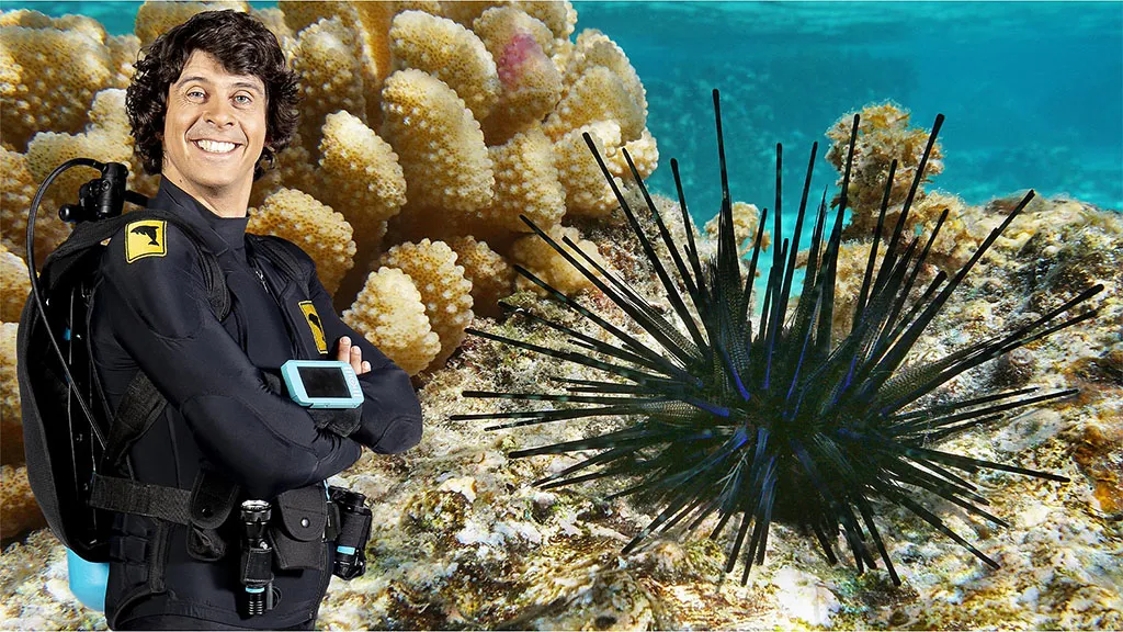 [英语动画]《Andy’s Aquatic Adventures安迪的海底探险》[英文字幕][全2季共30集][12.5GB][百度网盘]