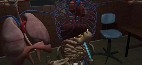 VR游戏《人体解剖学Human Anatomy Puzzle [0.9.3.12]》[英文][百度网盘][109.01MB][百度网盘]