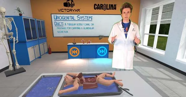VR游戏《解剖猫科动物 Cat Dissection-Quest》[英文][587.71MB][百度网盘]