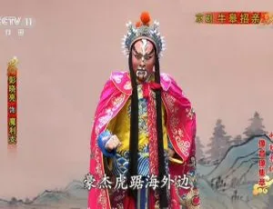 《2019 内地 CCTV 戏曲频道京剧经典：牛皋招亲 高清自录 1080P 百度盘分享》-小文资源网