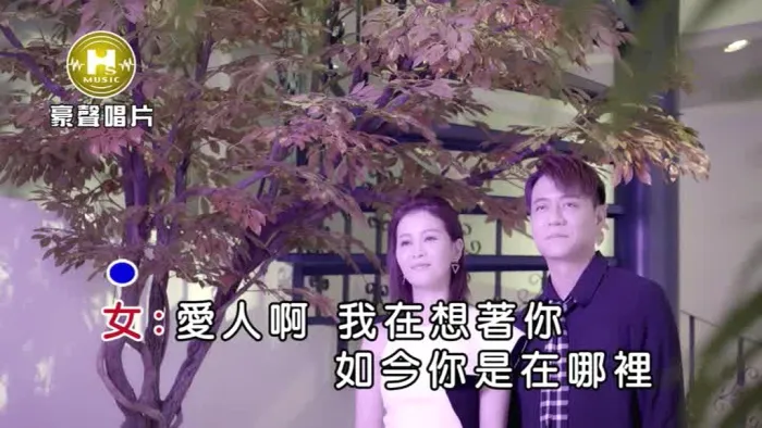 [2019][内地][国语-MV][陈随意&谢宜君-我在你心里][MPG][206MB][百度网盘]