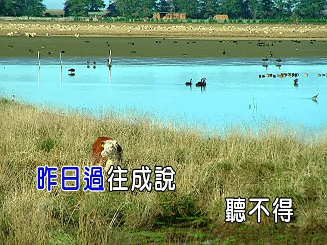 [2018][内地][国语-MV][张碧晨-听雪][MPG][154MB][百度网盘]