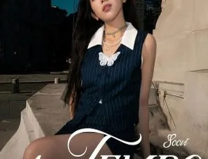 《2023 年精彩！수비 Soovi 高音质 Hi-Res Flac 百度网盘分享》-小文资源网