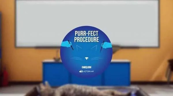 VR游戏《解剖猫科动物 Cat Dissection-Quest》[英文][1.26GB][百度网盘]