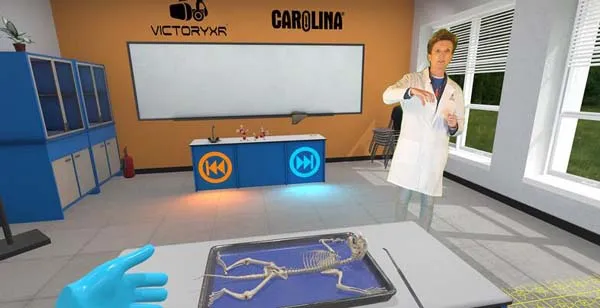 VR游戏《解剖猫科动物 Cat Dissection-Quest》[英文][1.26GB][百度网盘]